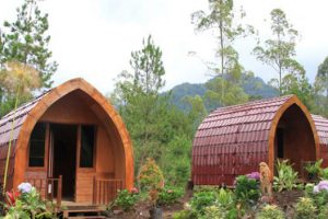 Coban Talun Batu: Air Terjun Indah dengan Suasana Alam yang Masih Asri