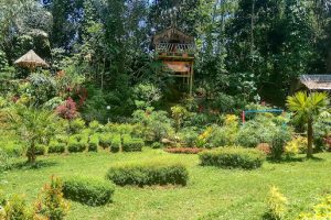 Menjelajahi Kota Batu: Surga Wisata di Ketinggian