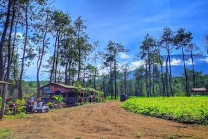 Wisata Batu Malang yang Wajib Dikunjungi, dari yang Hits sampai yang Hidden Gems