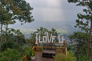 Piknik Seru di Kota Batu: Liburan Adem, Seru, dan Bikin Nagih!