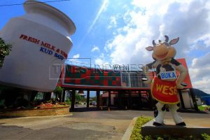 Liburan Edukatif dan Seru di Malang: Main Sambil Belajar? Bisa Banget!