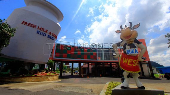 Liburan Edukatif dan Seru di Malang: Main Sambil Belajar? Bisa Banget!