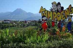 Liburan Aktif: Menjelajahi Serunya Outbound di Batu Malang