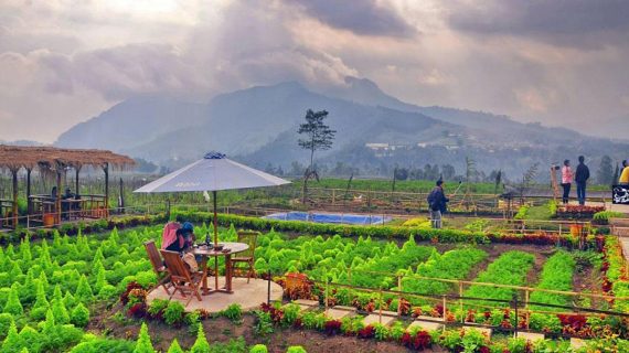Berkunjung ke Pujon Kidul, Destinasi Wisata Outbound Malang yang Instagramable